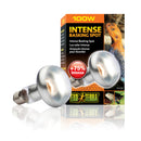 Exo Terra Basking Spot Lamp - 100-watt / Intense - Reptile & Amphibian Habitat Heating & Lighting 6
