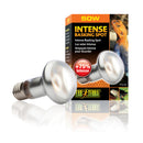 Exo Terra Basking Spot Lamp - 50-watt / Intense - Reptile & Amphibian Habitat Heating & Lighting 4