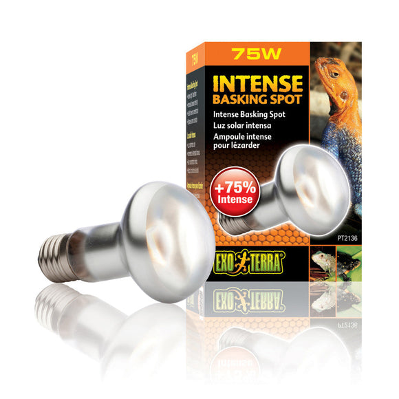 Exo Terra Basking Spot Lamp - 75-watt / Intense - Reptile & Amphibian Habitat Heating & Lighting 5