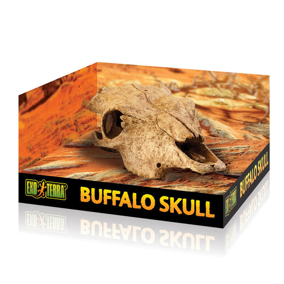 Exo Terra Buffalo Skull - Reptile Decor & Accessories 1