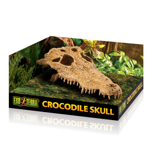 Exo Terra Crocodile Skull - Reptile Decor & Accessories 1