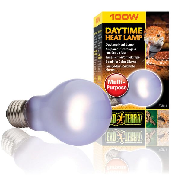 Exo Terra Daytime Heat Lamp - 60-watt - Reptile & Amphibian Habitat Heating & Lighting 1