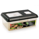 Exo Terra Faunarium Flat Home - Large - Reptile & Amphibian Supplies 2