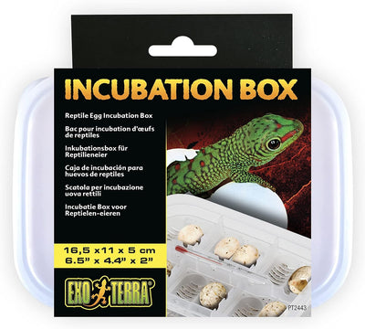 Exo Terra Incubation Box Reptile & Amphibian Supplies.