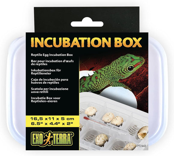 Exo Terra Incubation Box Reptile & Amphibian Supplies.