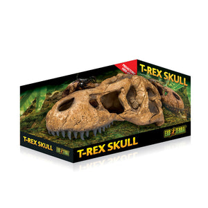Exo Terra T-Rex Skull - Reptile Decor & Accessories 1