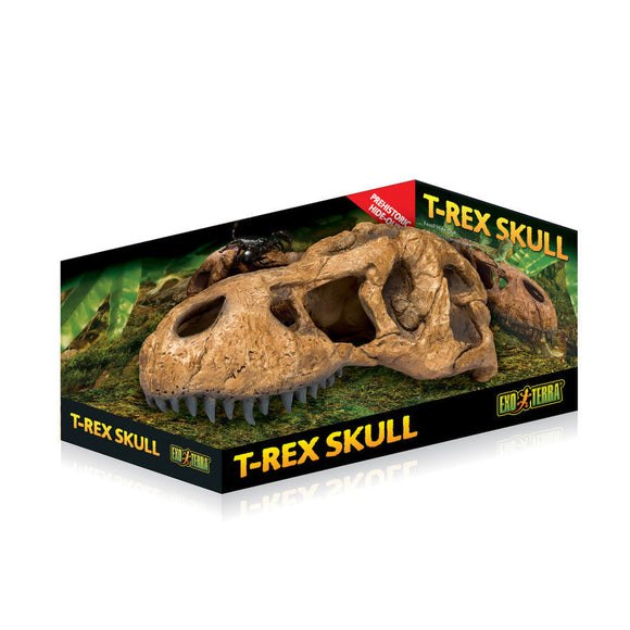 Exo Terra T-Rex Skull - Reptile Decor & Accessories 1