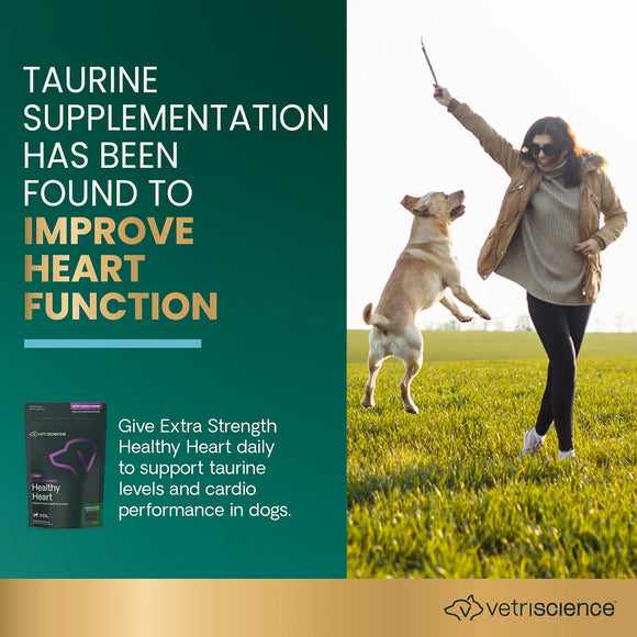Extra Strength Healthy Heart Chews for Dogs