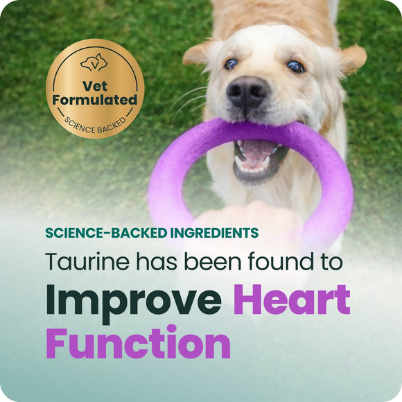 Extra Strength Healthy Heart Chews for Dogs - Dog Supplements & Vitamins 2