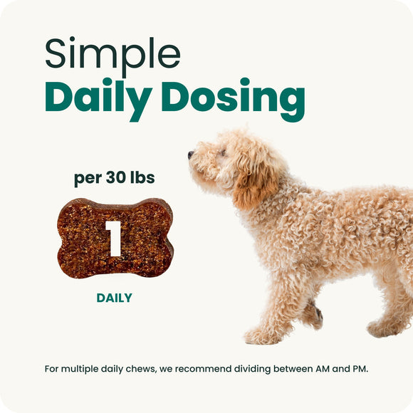 Extra Strength Healthy Heart Chews for Dogs - Dog Supplements & Vitamins 6