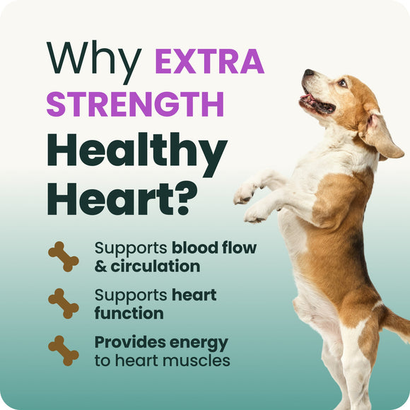 Extra Strength Healthy Heart Chews for Dogs - Dog Supplements & Vitamins 8