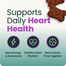 Extra Strength Healthy Heart Chews for Dogs - Dog Supplements & Vitamins 3