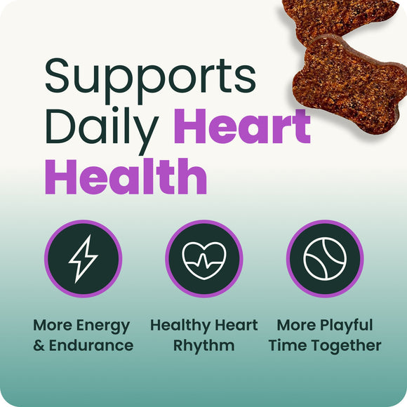 Extra Strength Healthy Heart Chews for Dogs - Dog Supplements & Vitamins 3
