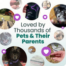 Extra Strength Healthy Heart Chews for Dogs - Dog Supplements & Vitamins 9