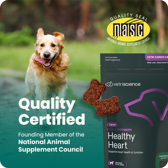 Extra Strength Healthy Heart Chews for Dogs - Dog Supplements & Vitamins 7