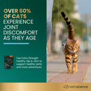 Extra Strength Healthy Hip & Joint Chews for Cats