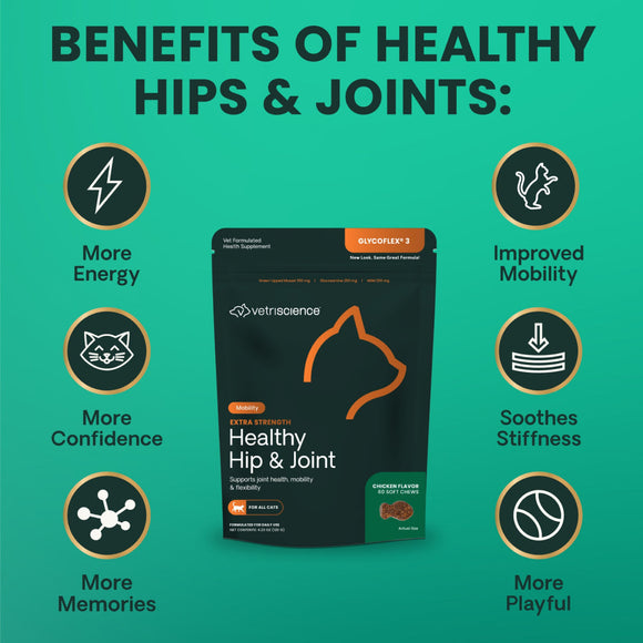 Extra Strength Healthy Hip & Joint Chews for Cats