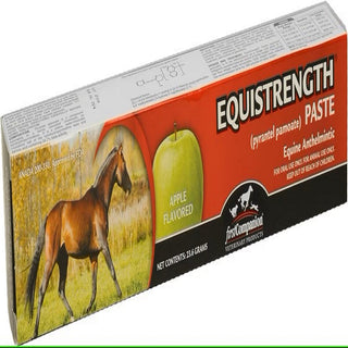 First Companion Apple Flavored Equistrength pyrantel pamoate Paste For Horse (23.6 g)