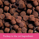 Buddy Biscuits Grain Free Cat Treats Savory Turkey & Cheddar (3 oz)