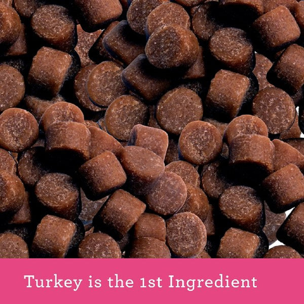 Buddy Biscuits Grain Free Cat Treats Savory Turkey & Cheddar (3 oz)