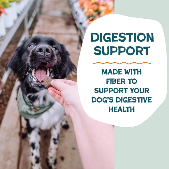 Shameless Pets Pumpkin Nut Partay Soft Baked Treats For Dogs (6 oz)