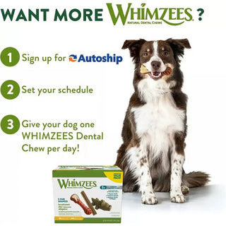 Whimzees Brushzees Medium For Dental Dog Treats Bulk (75 ct)