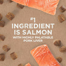 Cloud Star Tricky Trainers Chewy Dog Treats Salmon (5 oz)