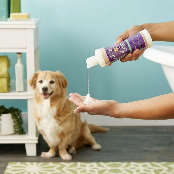 Buddy Rinse Lavender & Mint Hydrating Therapy Conditioner For Dog (16 oz)