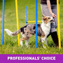 Cloud Star Tricky Trainers Crunchy Dog Treats Liver (8 oz)