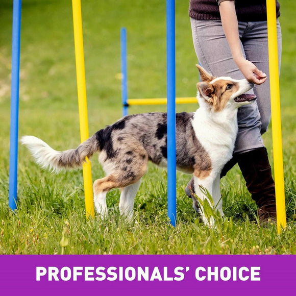 Cloud Star Tricky Trainers Crunchy Dog Treats Liver (8 oz)