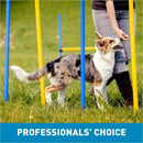 Cloud Star Tricky Trainers Crunchy Dog Treats Salmon (8 oz)