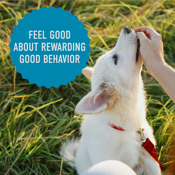 Cloud Star Tricky Trainers Chewy Dog Treats Salmon (5 oz)