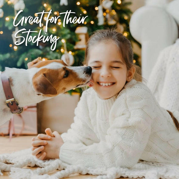 Buddy Biscuits Crunchy Holiday Gingerbread Dog Treats (16 oz) Box