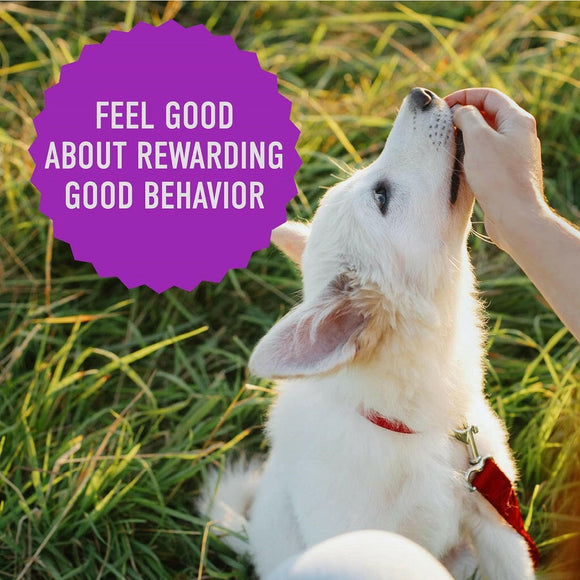 Cloud Star Tricky Trainers Grain Free Chewy Dog Treats Liver (12 oz)