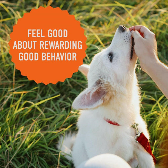 Cloud Star Tricky Trainers Grain Free Chewy Dog Treats Peanut Butter (12 oz)