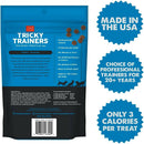 Cloud Star Tricky Trainers Chewy Dog Treats Salmon (5 oz)
