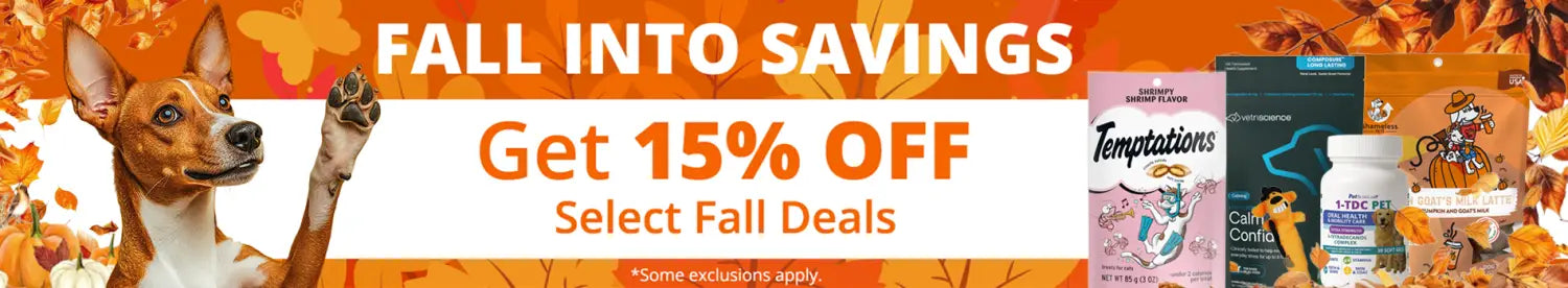 Fall into Savings