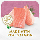 Fancy Feast Classic Broths with Wild Salmon & Vegetables Supplemental Wet Cat Food Pouches