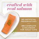 Fancy Feast Gems Mousse Pate Salmon & Gravy Halo Wet Cat Food (2 oz x 16 servings) - Cat Food 5