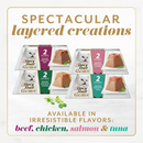 Fancy Feast Gems Mousse Pate Salmon & Gravy Halo Wet Cat Food (2 oz x 16 servings) - Cat Food 6