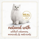 Fancy Feast Gourmet Naturals Beef Recipe in Gravy Canned Cat Food