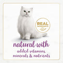 Fancy Feast Gourmet Naturals Beef Recipe Pate Canned Cat Food