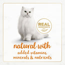 Fancy Feast Gourmet Naturals Wild Alaskan Salmon Recipe Pate Canned Cat Food