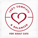 Fancy Feast Medleys Salmon Primavera in Sauce Wet Cat Food