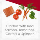 Fancy Feast Medleys Salmon Primavera in Sauce Wet Cat Food