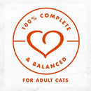 Fancy Feast Medleys Shredded White Meat Chicken Fare in Broth Wet Food