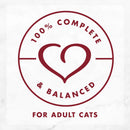 Fancy Feast Medleys Shredded Wild Salmon Fare in Broth Wet Cat Food