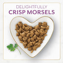 Fancy Feast with Savory Chicken & Turkey Dry Cat Food