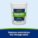 Farnam Apple Elite Apple Flavored Electrolyte Powder for Horses - Horse Vitamins & Supplements 3