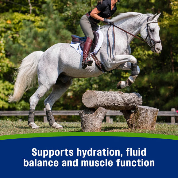 Farnam Apple Elite Apple Flavored Electrolyte Powder for Horses - Horse Vitamins & Supplements 6